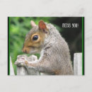 Buscar srta postales Fáltele
