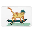 Buscar cat imanes Gatos