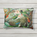 Buscar pinturas del colibrí cojines Naturaleza