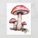 Buscar setas postales Alice en wonderland