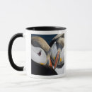 Buscar puffin tazas Pájaro