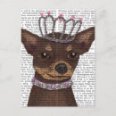 Buscar chihuahuas postales Animales