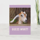 Buscar de la cabra tarjetas General y unisex