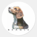 Buscar beagle pegatinas Canino