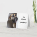 Buscar great dane tarjetas Humor