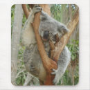 Buscar koalas alfombrillas de raton Osos de koala