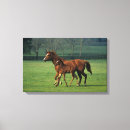 Buscar mudanza posters Caballo