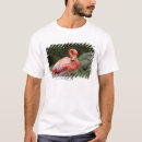 Buscar longitud del tres cuartos camisetas Fauna