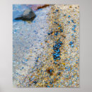 Buscar moluscos posters Playa