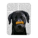 Buscar nariz imanes Labrador negro