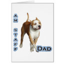 Buscar amstaff postales De am