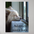 Buscar adopte posters Lindo