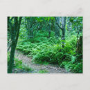Buscar helecho postales Verde
