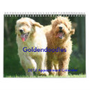 Buscar doodle calendarios De oro