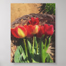 Buscar tulipán arte Bosque