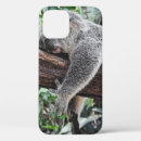 Buscar oso koala iphone fundas Árbol