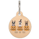 Buscar linterna collares Para mascotas