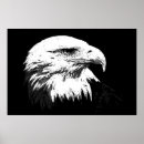 Buscar águilas águilas posters Águila blanca