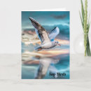 Buscar gaviota tarjetas General y unisex