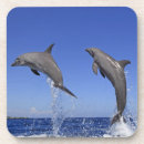 Buscar grueso posavasos Criaturas del sealife