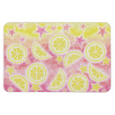 Buscar limonada imanes Verano