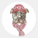 Buscar pitbull pegatinas Navidades