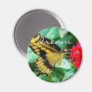 Buscar mariposas imanes Fotografía