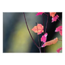 Buscar hoja 3 posters Naturaleza