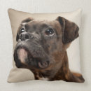 Buscar brindle cojines Boxeador