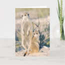 Buscar nin tarjetas El cuid losar nin¢os