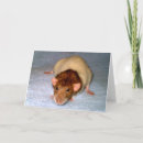 Buscar dumbo tarjetas Adorable
