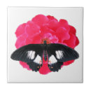 Buscar mariposas negras azulejos Rojo