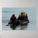 Buscar nutria posters Alaska
