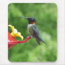 Buscar rubí alfombrillas de raton Colibrí