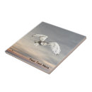 Buscar owl azulejos Animales