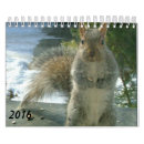 Buscar ardillas lindas calendarios Roedor