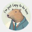Buscar capybara postales De capibara