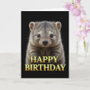 Buscar wombat tarjetas Lindo
