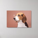 Buscar beagle lienzos Naturaleza