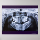 Buscar salud dental posters Parte del cuerpo humano