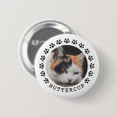 Buscar gato chapas Para mascotas