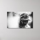 Buscar aves de corral lienzos Gallina