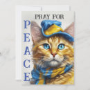 Buscar gato de ojos azules tarjetas Gatos
