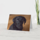 Buscar puppy tarjetas Animal