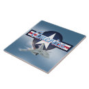Buscar aviones azulejos Fuerza aérea