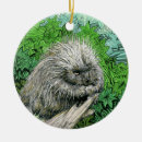 Buscar octubre adornos Adorable