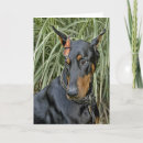 Buscar del doberman tarjetas General y unisex