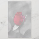 Buscar efectos de escritorio fotografía Floral