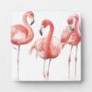 Buscar flamenco placas fotograbadas Flamingo