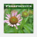 Buscar perspectiva fotografía Naturaleza